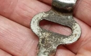 What could this mysterious thing possibly be?