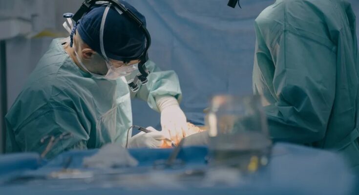 Woman born without womb pregnant with first child after womb transplant