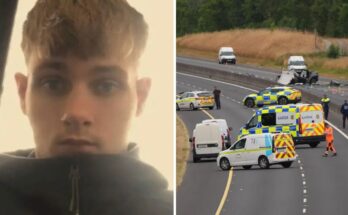 Mother of teen killed in wrong-way crash says she begged judge to jail him weeks before his death